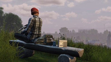 DayZ Soundtrack (PC) - Steam Key - GLOBAL - 3