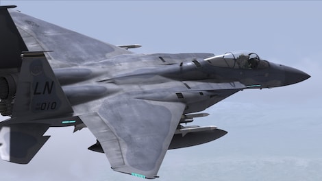 DCS: Flaming Cliffs 3 Steam Gift GLOBAL - 12