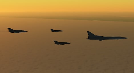 DCS: MiG-21Bis (PC) - Steam Gift - GLOBAL - 8
