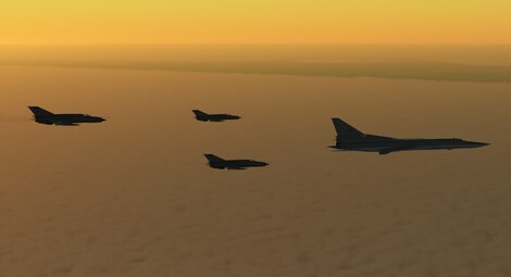 DCS: MiG-21Bis (PC) - Steam Key - GLOBAL - 8