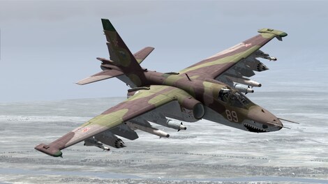 DCS: Su-25 Steam Gift GLOBAL - 5