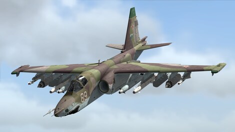 DCS: Su-25 Steam Gift GLOBAL - 3