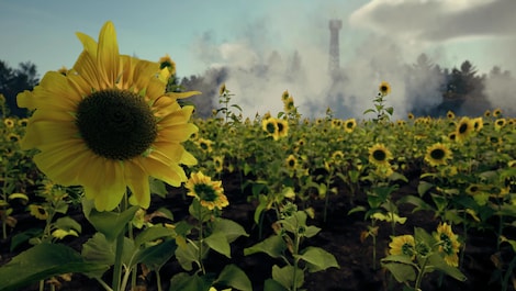 Death From Above (PC) - Steam Key - GLOBAL - 4