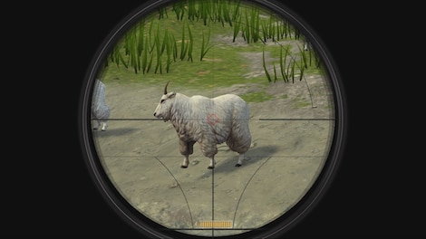 Deer Hunter: Reloaded - Steam - Key GLOBAL - 8