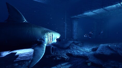 Depth Steam Gift EUROPE - 6