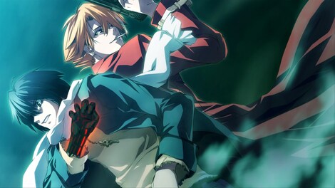 な‼️‼️【新品】Dies irae - Amantes amentes Dies irae ~Amantes amentes~ 初回版: Amazon.ca: Movies & TV Shows