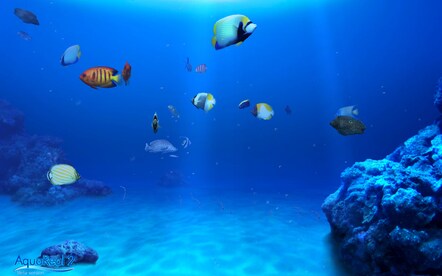 DigiFish Aqua Real 2 Steam Key CIS - 7