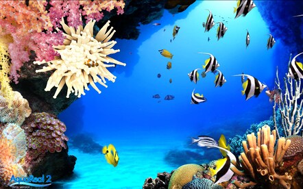 DigiFish Aqua Real 2 Steam Key CIS - 6