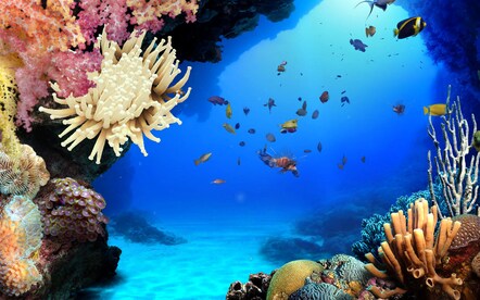DigiFish Aqua Real 2 Steam Key CIS - 3