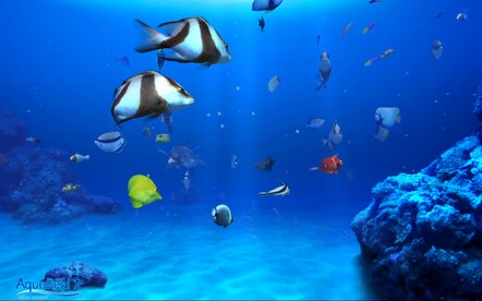 DigiFish Aqua Real 2 Steam Key CIS - 2