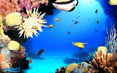 DigiFish Aqua Real 2 Steam Key RU/CIS - 8