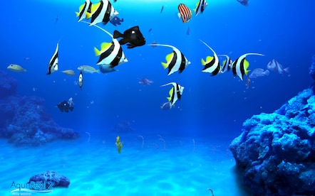 DigiFish Aqua Real 2 Steam Key RU/CIS - 9