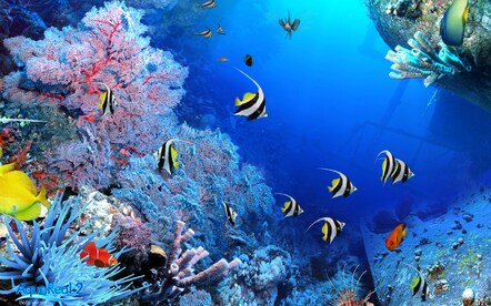 DigiFish Aqua Real 2 Steam Key RU/CIS - 4