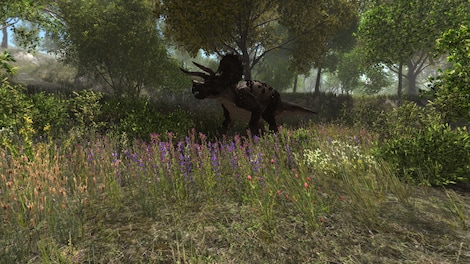 Dinosaur Forest Steam Key GLOBAL - 8