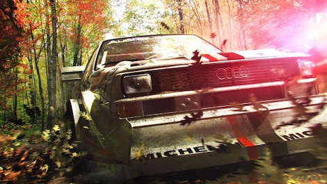 DiRT 3 Steam Key EUROPE - 17