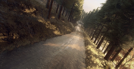 DiRT Rally 2.0 - Colin McRae: FLAT OUT Pack (PC) - Steam Key - EUROPE - 3