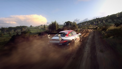 DiRT Rally 2.0 - Porsche 911 RGT Rally Spec (PC) - Steam Key - EUROPE - 8