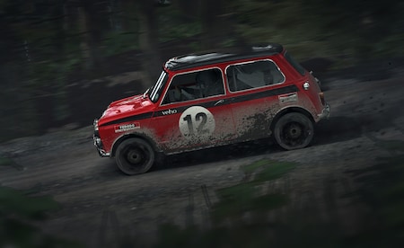 DiRT Rally Steam Key CIS - 19