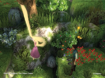 Disney Tangled Steam Gift EUROPE - 2