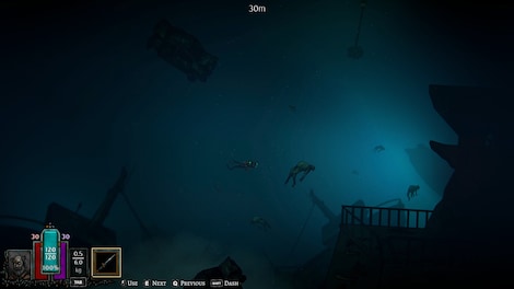 DIVE or DIE - Children of Rain (PC) - Steam Key - ROW - 9
