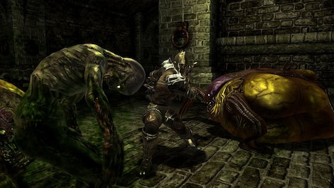 Divinity II: Developer's Cut Steam Key GLOBAL - 9