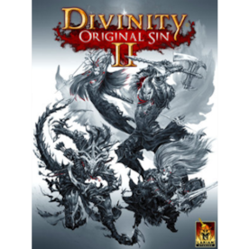 Divinity: Original Sin 2 - Divine Edition Steam Key GLOBAL - 1