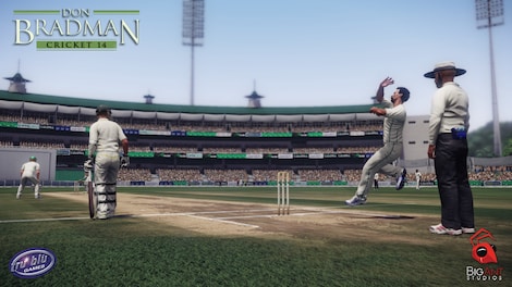 Don Bradman Cricket 14 Steam Key GLOBAL - 10