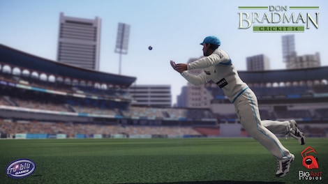 Don Bradman Cricket 14 Steam Key GLOBAL - 7