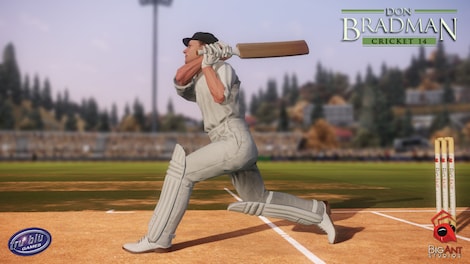 Don Bradman Cricket 14 Steam Key GLOBAL - 8