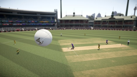 Don Bradman Cricket 17 Steam Gift EUROPE - 9