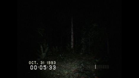 DON'T SCREAM (PC) - Steam Account - GLOBAL - 3