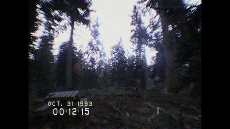 DON'T SCREAM (PC) - Steam Account - GLOBAL - 9