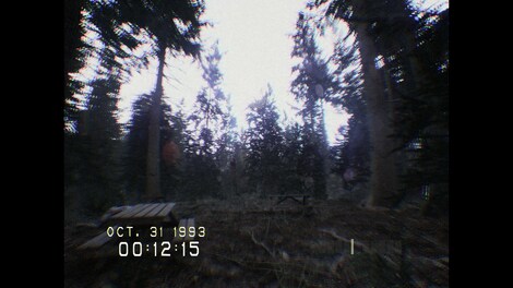 DON'T SCREAM (PC) - Steam Key - EUROPE - 9