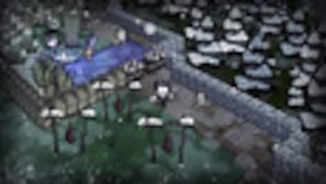 Don't Starve Together 2-PACK Steam Gift GLOBAL - 3