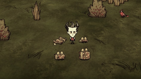 Don't Starve Together: Cottage Cache Chest (PC) - Steam Gift - NORTH AMERICA - 3