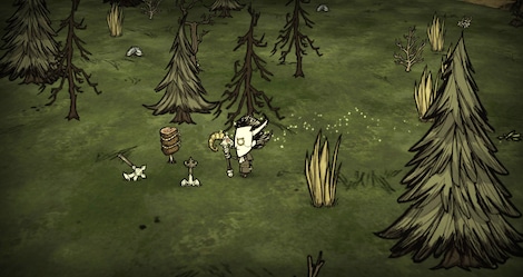 Don't Starve Together: Gorge Belongings Chest Steam Gift GLOBAL - 0