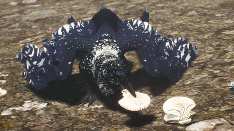 Draconia (PC) - Steam Gift - EUROPE - 8