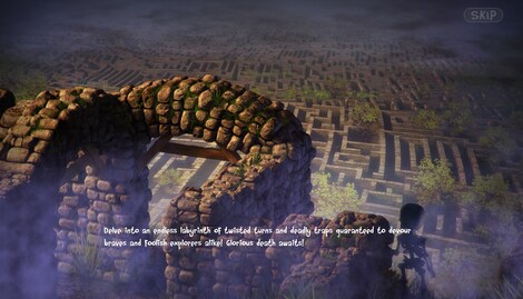 Dragon Fin Soup Steam Key GLOBAL - 7