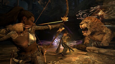Dragon's Dogma: Dark Arisen (PC) - Steam Key - EUROPE - 22