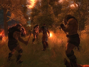 Drakensang Steam Key GLOBAL - 14