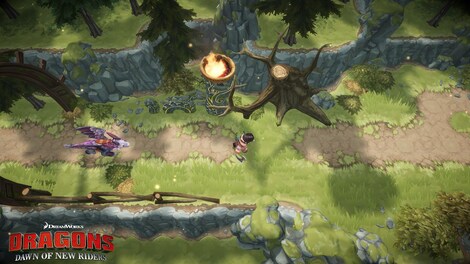 DreamWorks Dragons Dawn of New Riders PSN Key PS4 EUROPE - 5