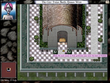 DROD 1+2+3 GOG.COM Key GLOBAL - 9