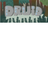 Druid Steam Key GLOBAL - 1