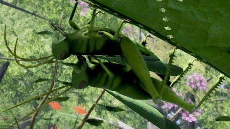 Drunk On Nectar (PC) - Steam Gift - GLOBAL - 5