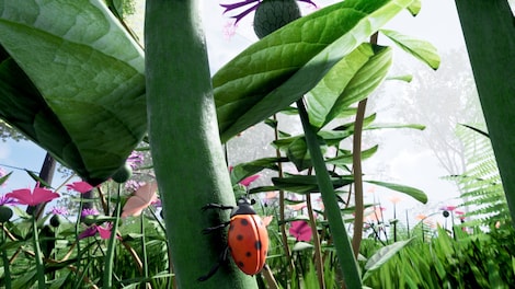 Drunk On Nectar (PC) - Steam Gift - GLOBAL - 27