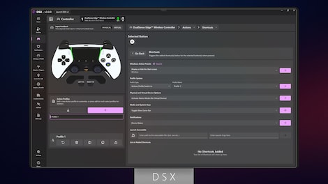 DSX (PC) - Steam Account - GLOBAL - 17