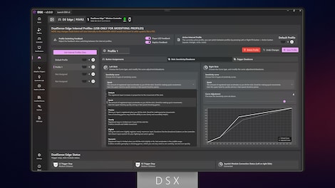 DSX (PC) - Steam Account - GLOBAL - 13