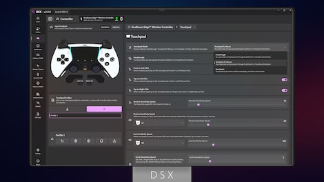 DSX (PC) - Steam Account - GLOBAL - 4