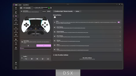 DSX (PC) - Steam Account - GLOBAL - 11