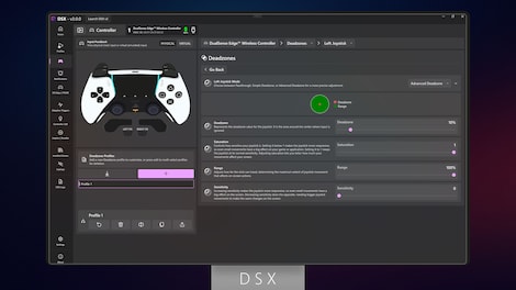 DSX (PC) - Steam Account - GLOBAL - 3